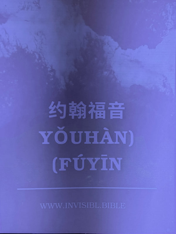 Invisible Gospel of John (Mandarin Chinese)